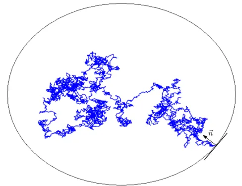 Figure 1.1: A random string of theorem 1.2.1 above