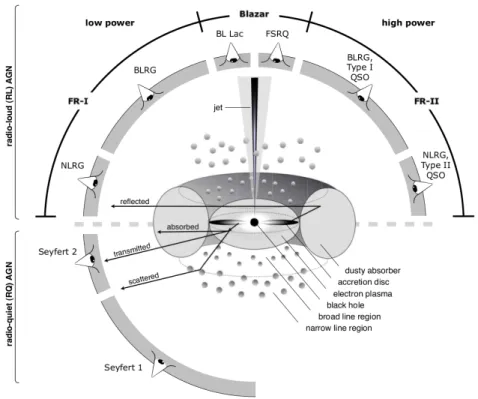Figure 2.5: Unification scheme of AGN based on the viewing angle for radio-loud (with jets) and radio-quiet sources (without jets)