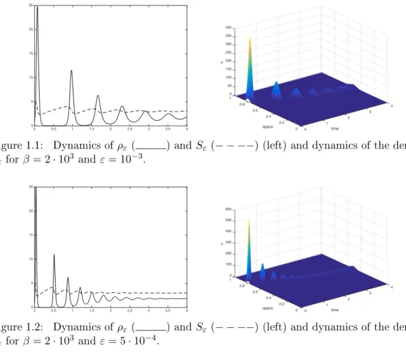 Figure 1.1: Dynamics of ρ ε ( ) and S ε (− − −−) (left) and dynamics of the density