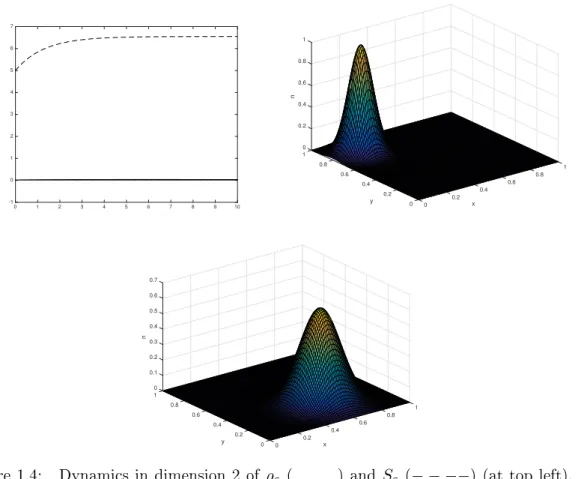 Figure 1.4: Dynamics in dimension 2 of ρ ε ( ) and S ε (− − −−) (at top left), the