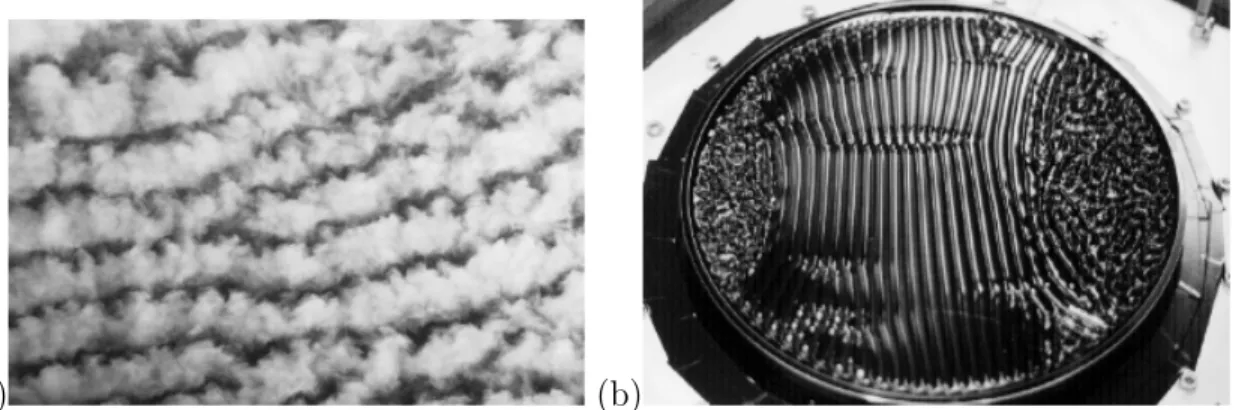Fig. 6 – Formation de ”patterns” (motifs cellulaires): (a) Nuages dans l’atmoph`ere. Exp´erience par Dame Nature et al