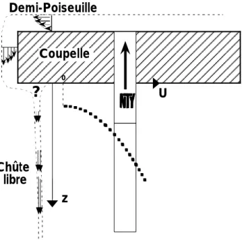 Fig. 2.1 – Repr´esentation sch´ematique du profil de vitesse sur au sein du liquide ruisselant.