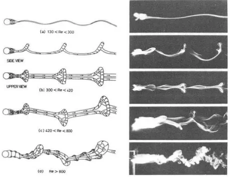 Figure 1.7 – Visualisations de l’écoulement en amont d’une sphère réalisées par Sakamoto et Haniu [18].
