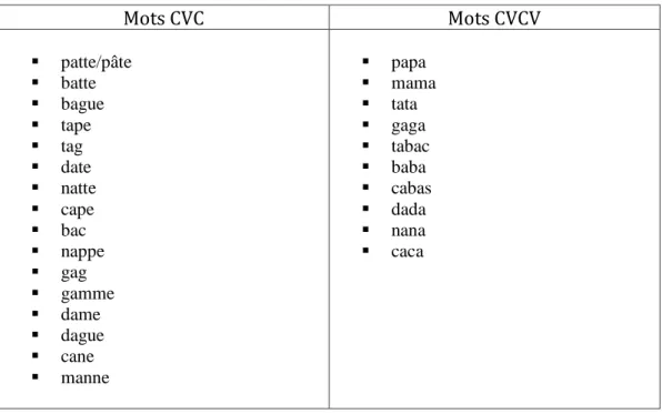 Figure 8 : Liste des termes utilisés pour le test d'identification de mots 
