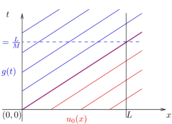Figure 1.1 – Caract´eristiques de l’´equation de transport `a vitesse M . En rouge, la zone d’influence de la donn´ee initiale u 0 ; en bleu, celle du contrˆole g.