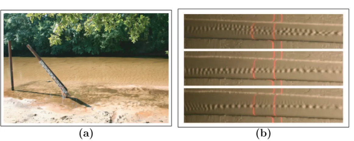 Fig. 1.6 – (a) Photo de motifs transverses se formant sur le lit de la Leyre à Mios (33)