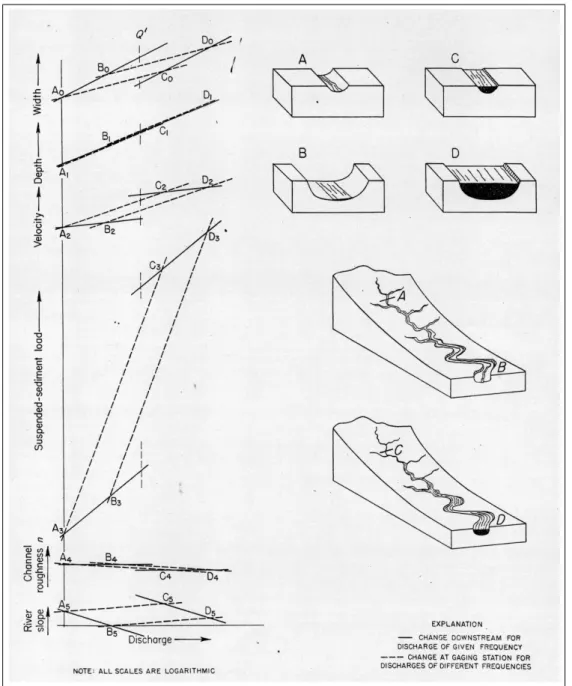 Fig. 2.1 – Schéma issu de [Leopold &amp; Maddock 1953] des relations entre la largeur, la hauteur, la vitesse, le flux de sédiment, la rugosité de Manning et la pente de la rivière en fonction du débit Q