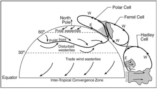 Fig. II.7 : Schéma des différents régimes de vent de surface, et les circulations verticales associées
