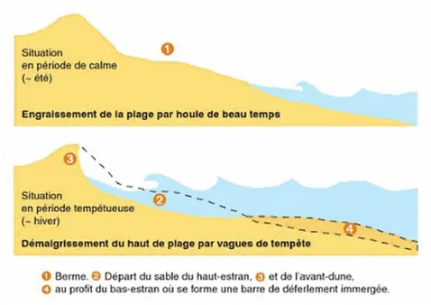 Figure 9 : Schéma des variations saisonnières du profil de plage, Paskoff, 1998 (sur www.oceanmaraisdemonts.fr) 