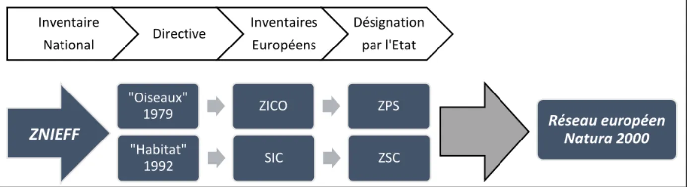 Figure 8 - Cheminement pour la désignation en zone Natura 2000.