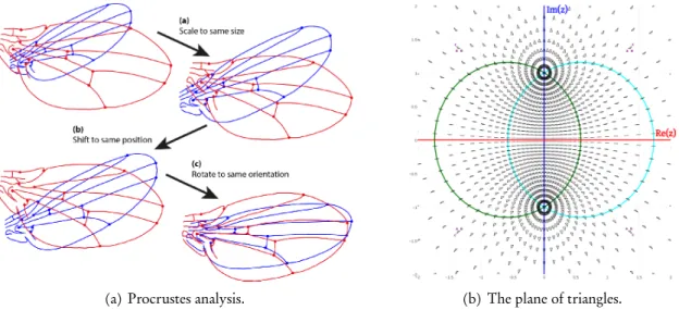 Figure 1.13: Working with shapes defined “up to similarities” in the 2D plane.