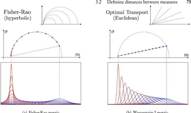 Figure 3.4: Geodesics on the statistical manifold of univariate Gaussian laws N (m, σ).