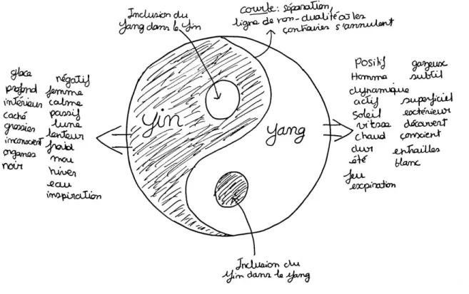 Figure 6 : Schéma représentant le  ​Yin ​  et le  ​Yang