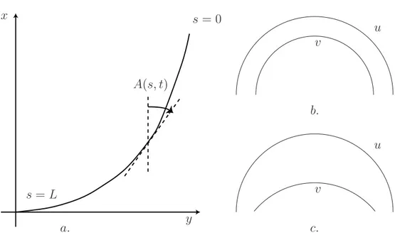 Figure 1.11 – a. Une ligne de longueur L est d´efini dans l’espace (x, y). Sa base est fix´ee au point (0, 0)