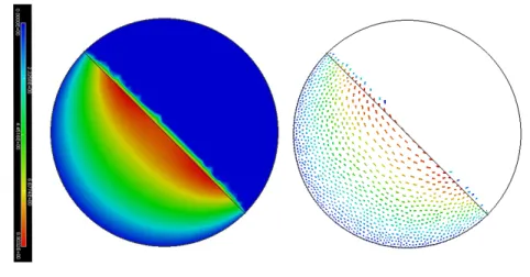 Figure 3.5.5: Norm of the initial velocity (on the left) and the associated vector field (on the right).