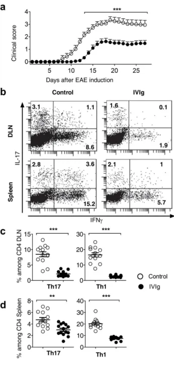 Figure  1  IVIg  protects  mice  against  EAE  by  decreasing Th17 and Th1 cells . (a) IVIg delays onset  and  decreases  severity  of  EAE:  EAE  was  induced  in  10-12  week  female  Wt  C57BL/6J  mice