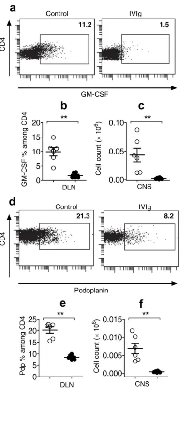 Figure  3  IVIg  renders  CD4  cells  less  pathogenic  in  EAE  by  down  regulating  encephalitogenic  molecules  like   GM-CSF  and  podoplanin