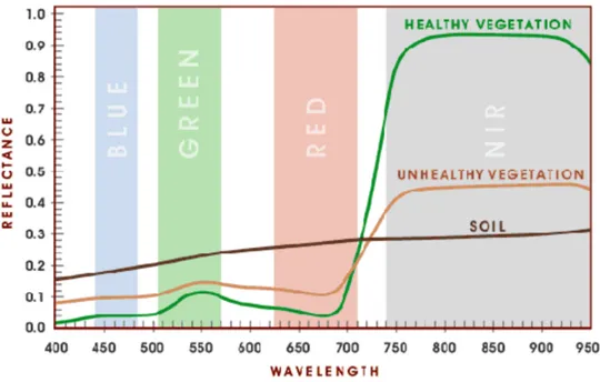 Figure 0.15  Spectres de réectivité de la végétation en bonne et mauvaise santé, et du sol