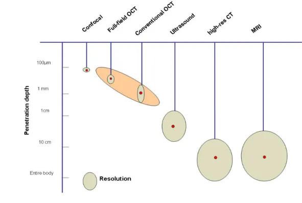 Figure  I.1: Schematic representation of the resolution and penetration depth in common imaging   modalities.