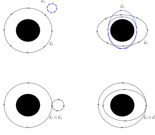 Figure 1.4: Elementary loops in F = C \ {D(0, 1)}. The black disk is the forbidden hole D(0, 1)