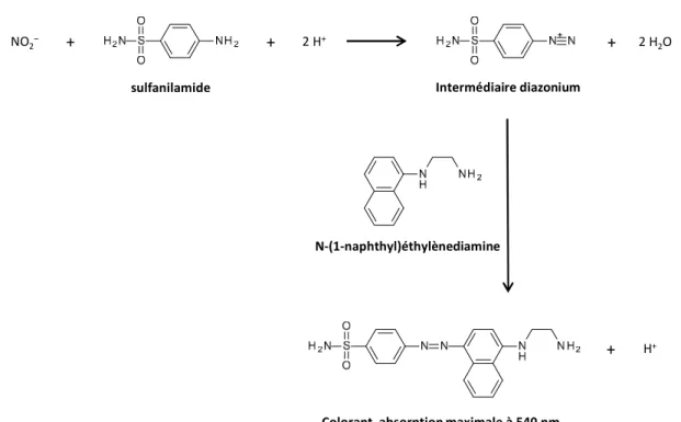 Figure 1.14 Principe du test de Griess modifié, utilisé pour détecter NO 2 −