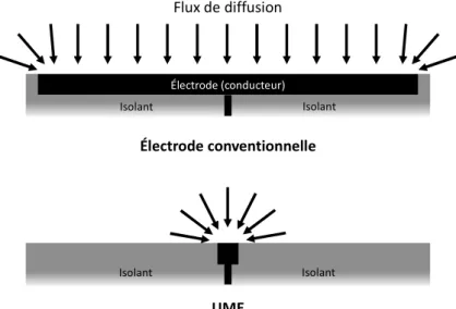 Figure 2.2 Illustration de la différence de forme des flux de diffusion entre des électrodes disque  plan de dimensions différentes