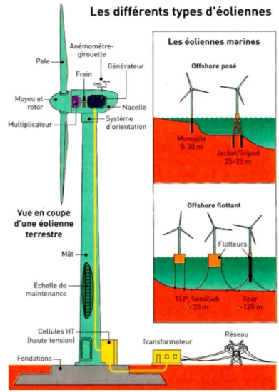 Figure 19 : les différents éléments d'une éolienne et ses déclinaisons possibles, en mer