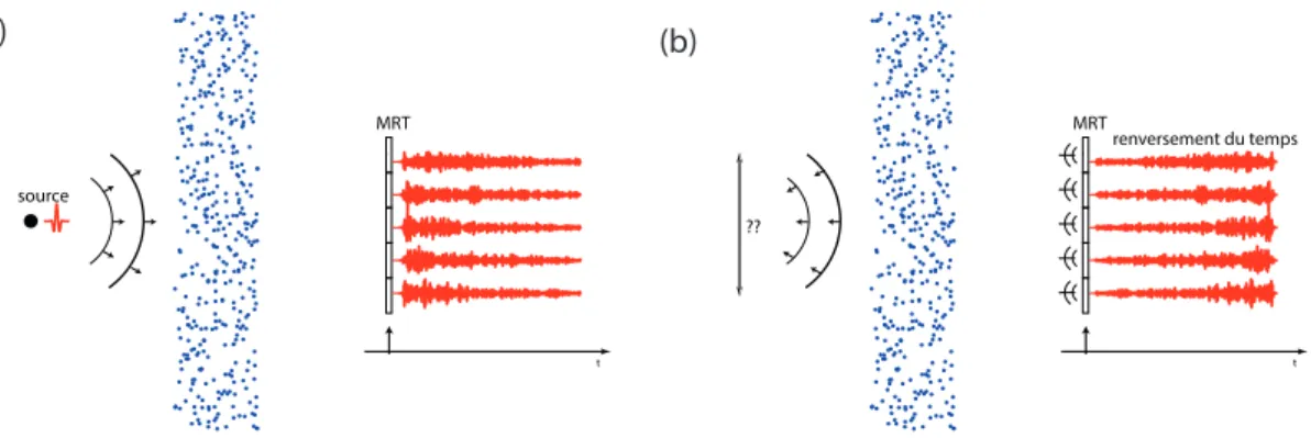 Figure 1.16: Retournement temporel en milieu complexe. (a) Un transducteur émet une onde enregistrée par des transducteurs de l'autre côté d'une forêt de tiges métalliques