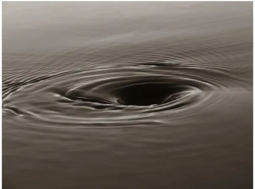 Figure 1.1: Photograph of the free surface deformation generated by a pinned vertical vortex in fast rotation as observed in our experiments (zoom)