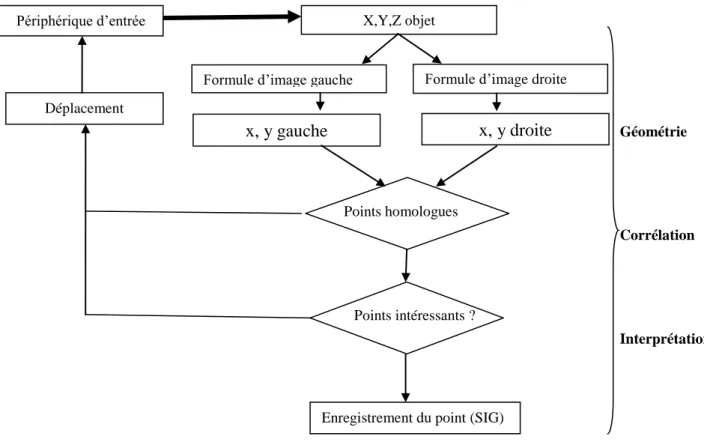 Figure 1.10 : Organigramme [Kasser2001] 