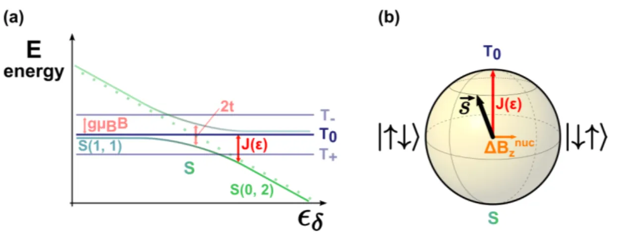 Figure 1.5: Singlet-triplet qubit principle. (a) depicts the energy level diagram of a double quantum dot close to the degeneracy line between (0, 2) and (1, 1) as a function of detuning ǫ δ between the two states
