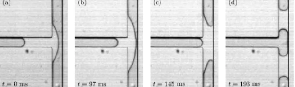 Figure 1.8 :  Séquence d'une scission de goutte dans une jonction en T donnant lieu à la  formation de gouttes symétriques dans les branches de sortie , Ody et al