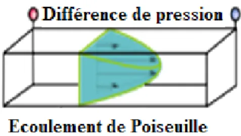 Figure 2.5 :  Profil de la vitesse d'écoulement d'un fluide dans un canal microfluidique soumis  à un gradient de pression 