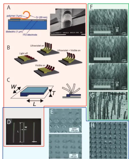 Fig. 1.9: Réseaux de cils artificiels en microfluidique. A : Cils électrostatiques [ 58 ]