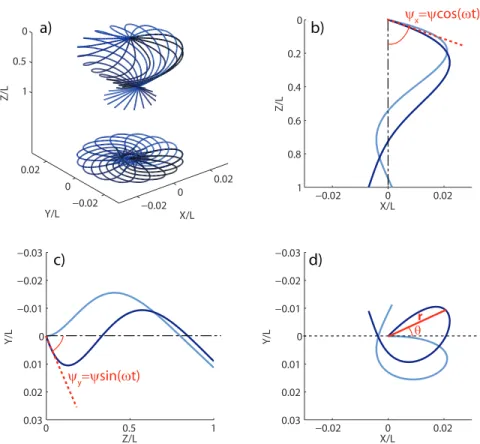 Fig. 2.7: Shape of an elastic filament driven at z = 0 for l ω /L = 0.18 and ψ = 15 ◦ ,