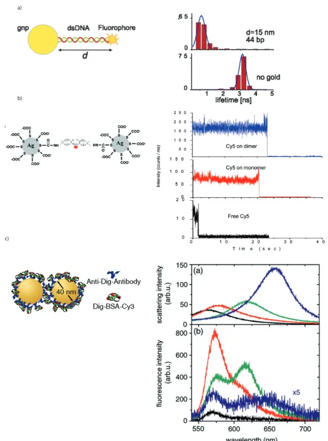 Figure 1.12 – Couplage par voie chimique : a) Molécule unique liée par un double brin d’ADN à une NPAu de 15 nm de diamètre, [20], b) mesures du signal de ﬂuorescence de molécule dans des dimers d’argent de NPs de 20 nm de diamètre [21], c) mesures de la réponse spectrale de molécules à proximité de dimères de NPsAu de 40 nm de diamètre [23].