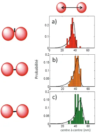 Figure 2.18 – Distributions des distances "centre à centre" a) dimère lié par un double brin de 50bp perpendiculaire b)dimère lié par un double brin de 30bp c)dimère lié par un double brin de 50bp.
