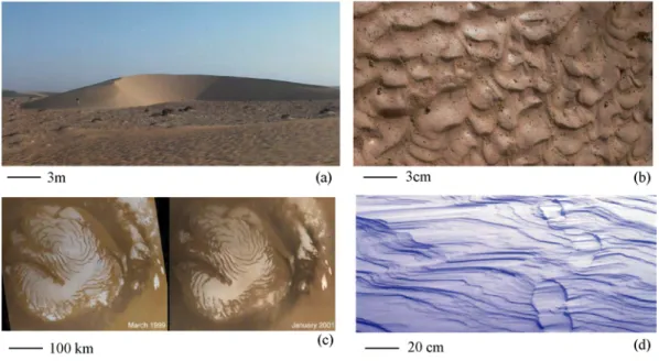 Fig. 3 – Quelques exemples de formes r´ esultants de l’action d’un fluide. (a) Grande barchane de la r´ egion de Tarfaya (Sud-Ouest du Maroc)