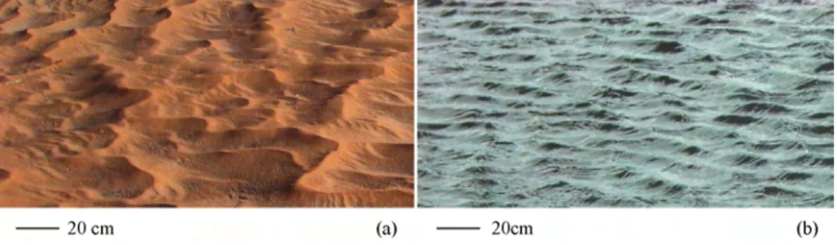 Fig. 6 – Comparaison de formes entre des rides ´ eoliennes (a) et des petites vagues ` a la surface de l’eau (b)
