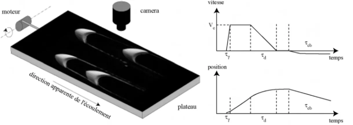 Fig. 2.2 – Principe des exp´ eriences de type ”plateau”. (a) Une plaque se d´ eplace dans de l’eau ` a l’aide d’un syst` eme de courroies reli´ ees ` a un moteur