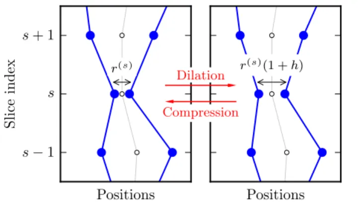 Figure 3.4: Compression-dilation move. Positions (blue dots) are kept in place at all slices but slice s, where, from an initial pair separation r (s) , the proposed new configuration has