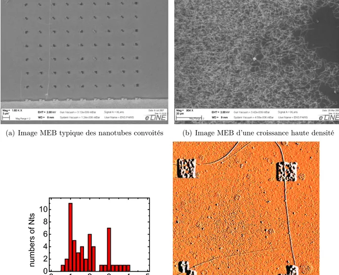 Fig. 3.2 – Quelques exemples de produits de croissance CVD de nanotubes. La bande de catalyseur est visible en bas du champ de la ﬁgure a)