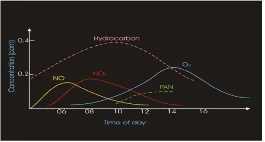 Figure 2.4  Diurnal cycle of O3 and its precursors.