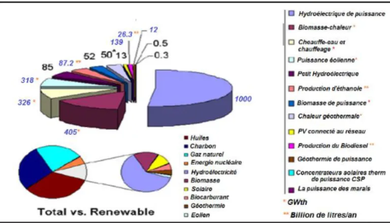 Figure 1.1-Les ressources des énergies renouvelables dans le monde en 2014 [ REN21 2014(25) ] 