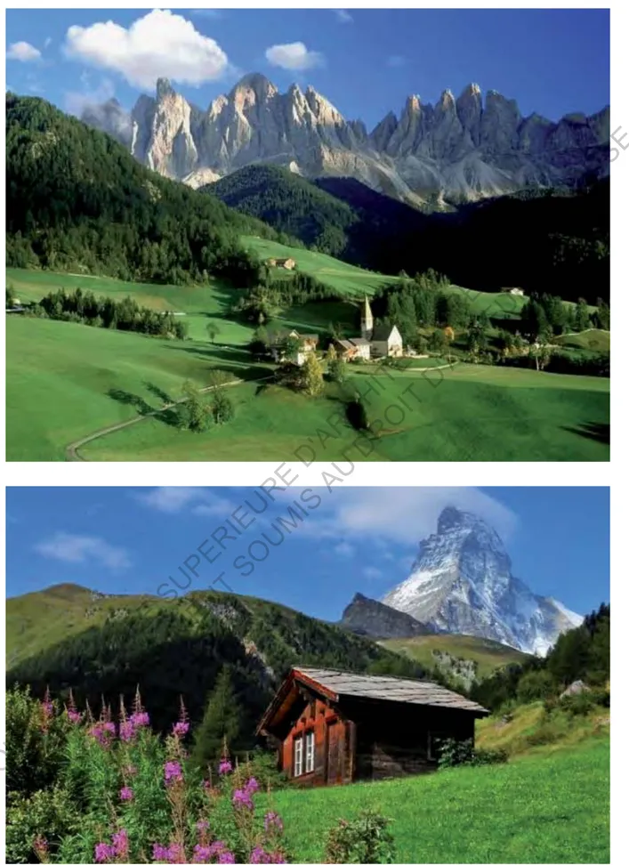 Figure 5. Photographies trouvées dans les premiers résultats Google de &#34;paysage de montagne&#34;