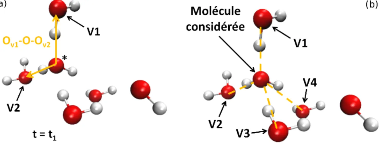 Figure 1.3 – (a) Image de l’angle formé par les deux plus proches voisins et la molécule d’eau considérée (*)
