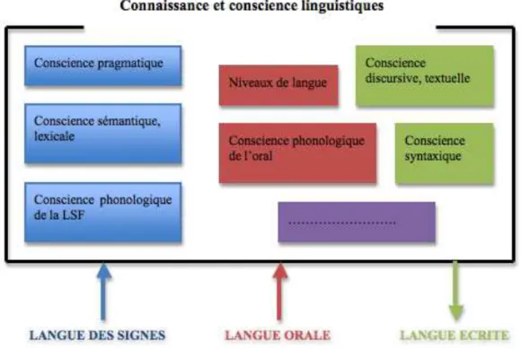 Figure 6 - La construction de connaissances linguistiques grâce aux différentes pratiques  langagières des enfants sourds (Lecapitaine, 2002: 65)