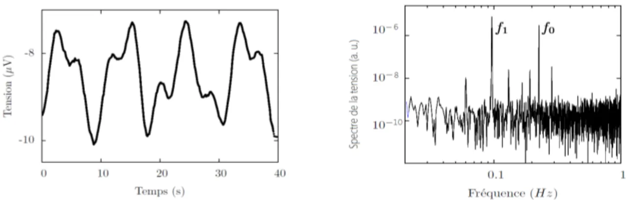 Figure 3.11 – Gauche : amplitude de la tension mesur´ee pour Rh = 2.1. Droite : spectre de la tension pour Rh = 2.1.