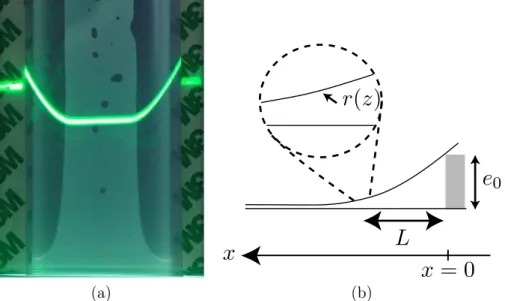 Figure 1.6 – (a) Cellule de largeur w = 50 mm, épaisseur e 0 = 1, 62 mm avec une feuille de