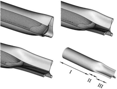 Figure 1.24 – Déstabilisation en 3 lobes d’un cylindre, dont la paroi interne est recouvert de liquide, placé en dépression